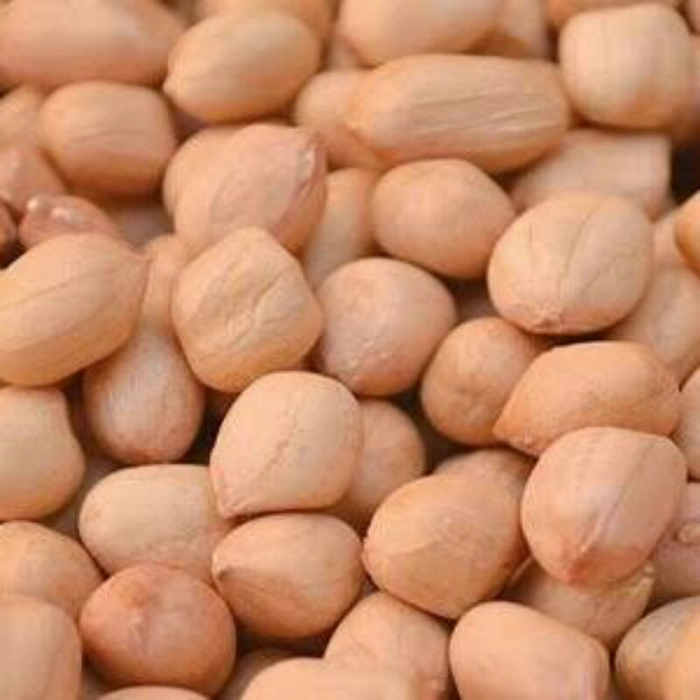 Peanuts ( verusenagullu)