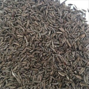 Carway seeds (Shajeera)