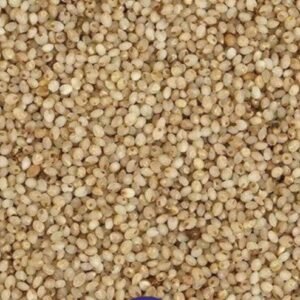 Little Millet (Saamalu)