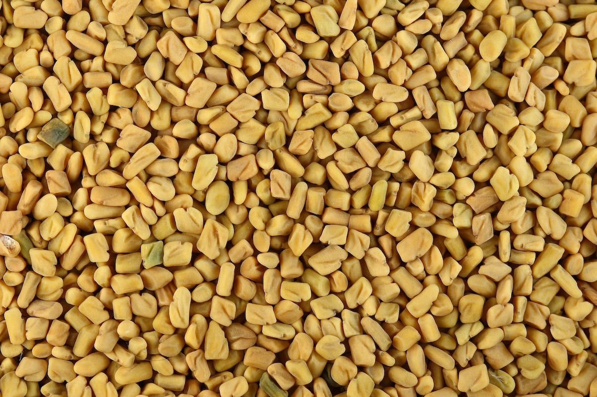 Fenugreek seeds (Menthulu)
