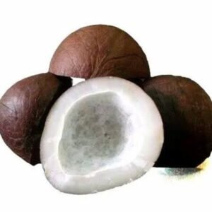 Black kobra (Nalla kobbari)