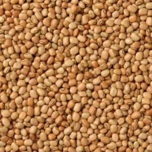 Red Lobia (Alachandalu)