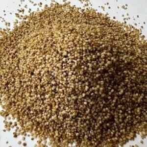 Kodo Millet (Arikelu)