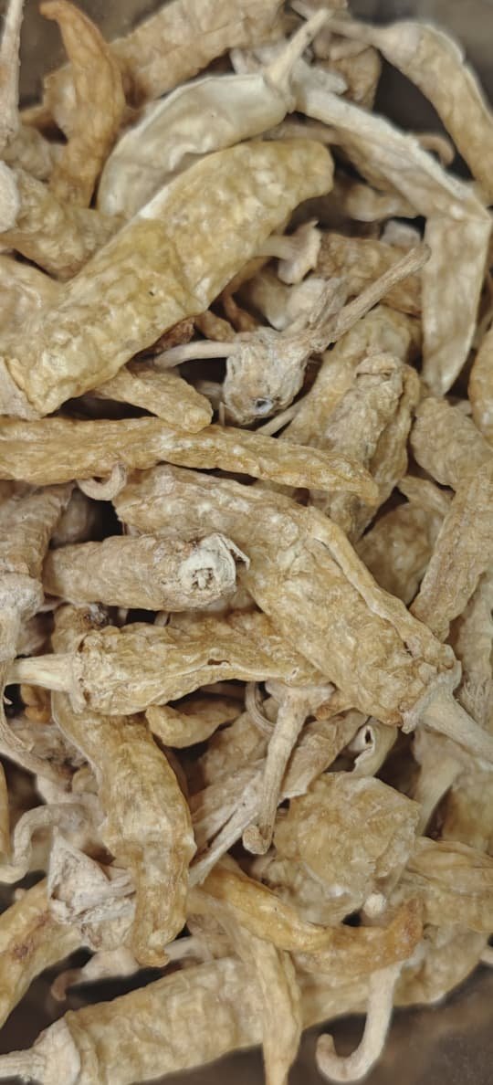 Curd chillies (Challa Mirchi)