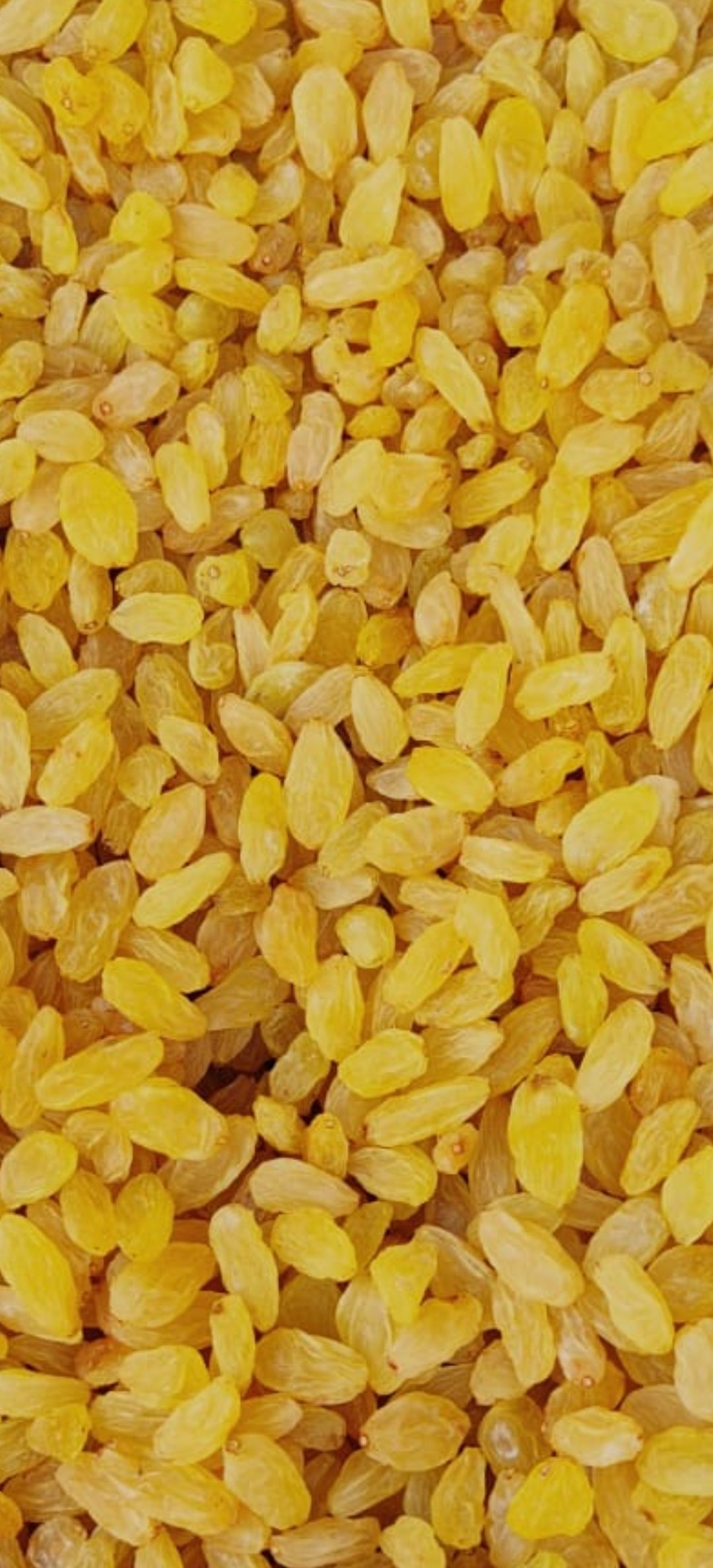 Kismiss yellow