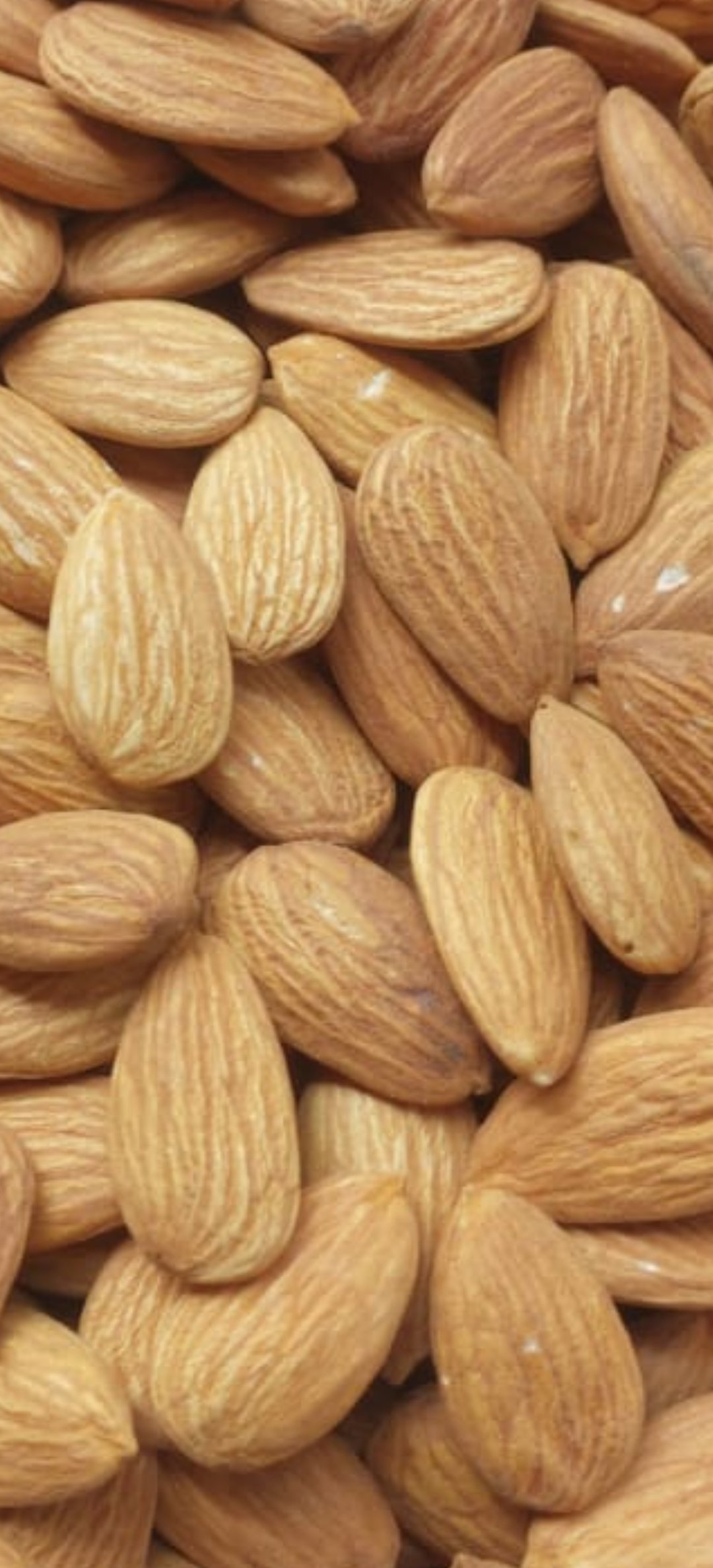 Badam Big size
