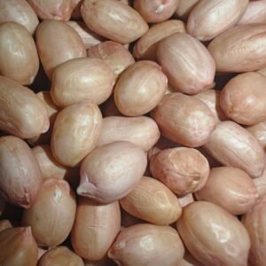 Peanuts ( verusenagullu)